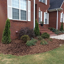 Shrubs-Sod 15